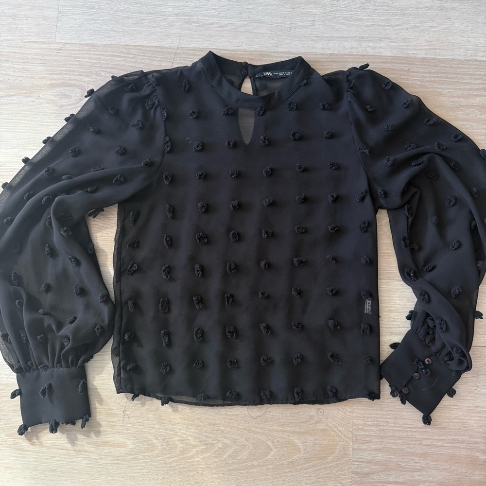 Zara Sheer Black Textured Blouse XS